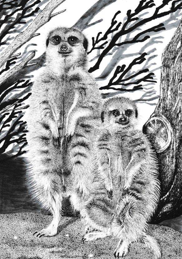 Meerkats by Aimi Amano｜TRiCERA ART（トライセラ アート）