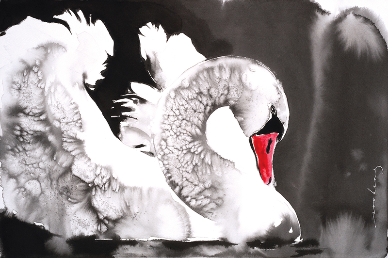 Swan Elegance Image of your art work hanging on the wall