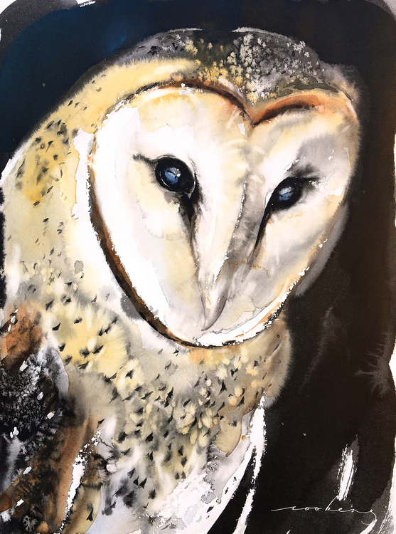 Barn Owl あなたの作品が壁にかかっているイメージ
