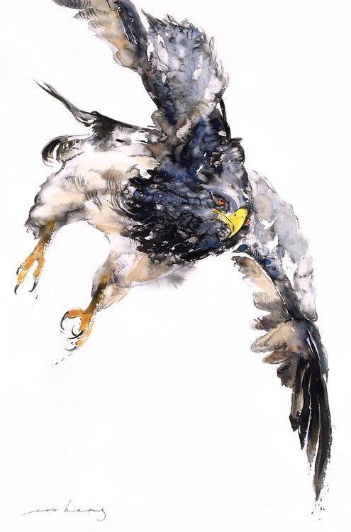 Soaring Above あなたの作品が壁にかかっているイメージ