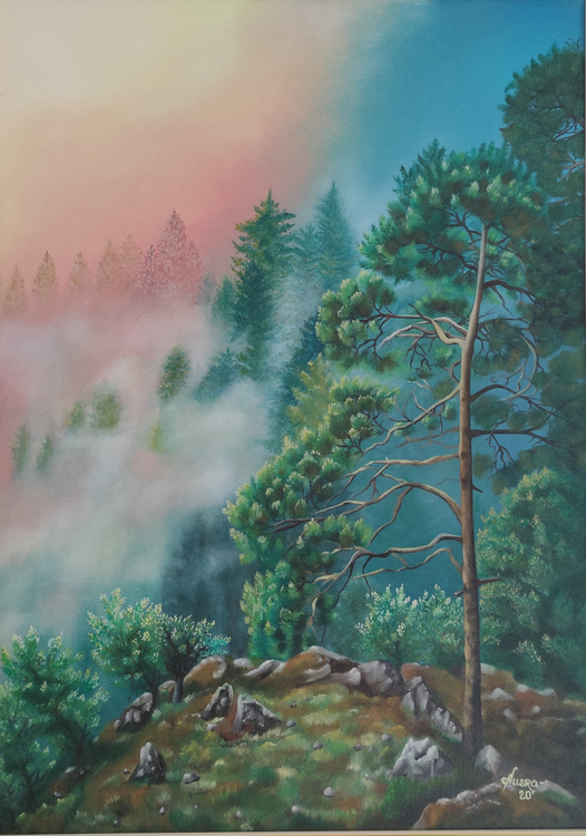 Misty Sunrise Immagine della tua opera d'arte appesa al muro