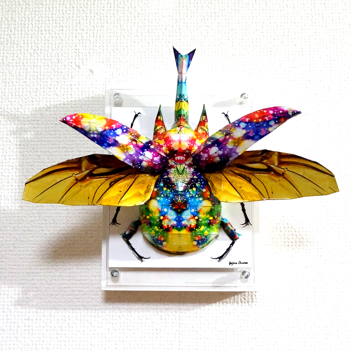The glittering beetle opens a wings by 大村 洋二朗(Omura Yojiro ...