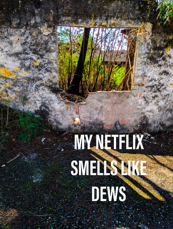 NETFLIX NATURE あなたの作品が壁にかかっているイメージ