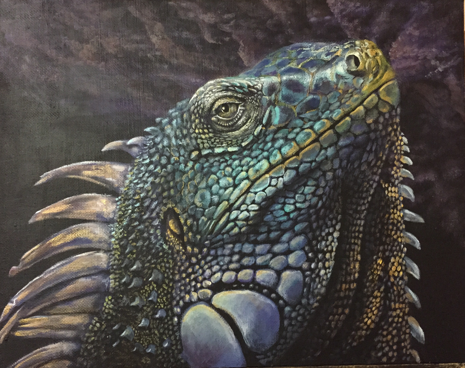 Iguana Image of your art work hanging on the wall