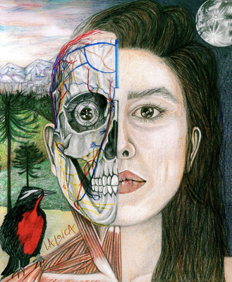 Image of profile / La Loica