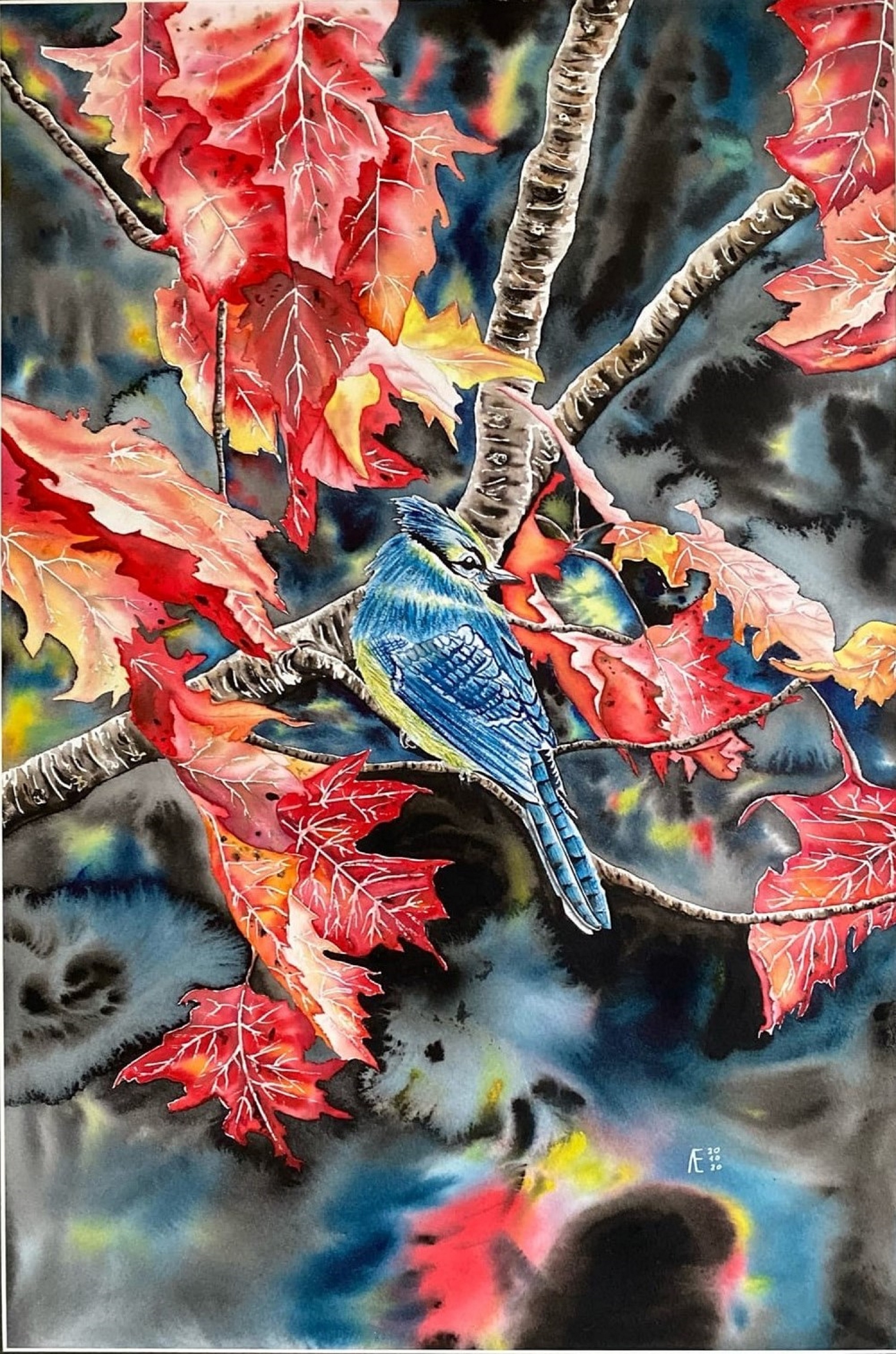 Yetuk BBW porno it uslubi