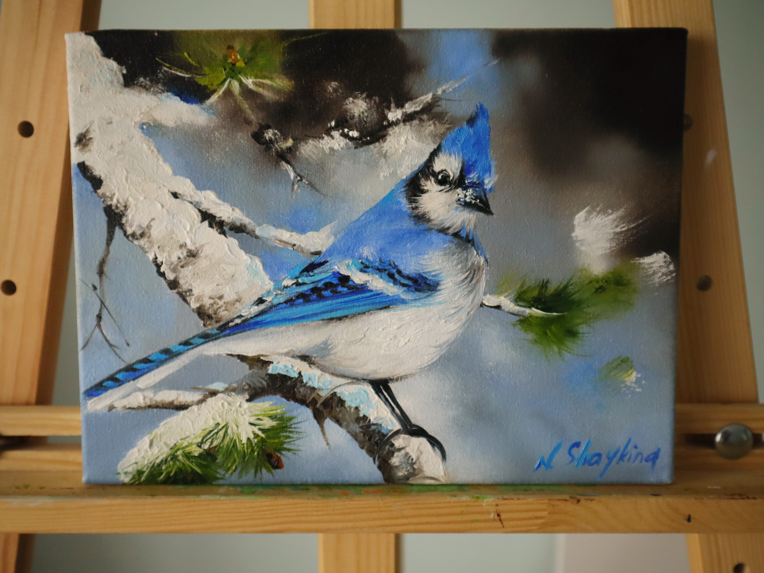 Blue Jay Bird Original painting on Canvas, Backyard bluebird Fine