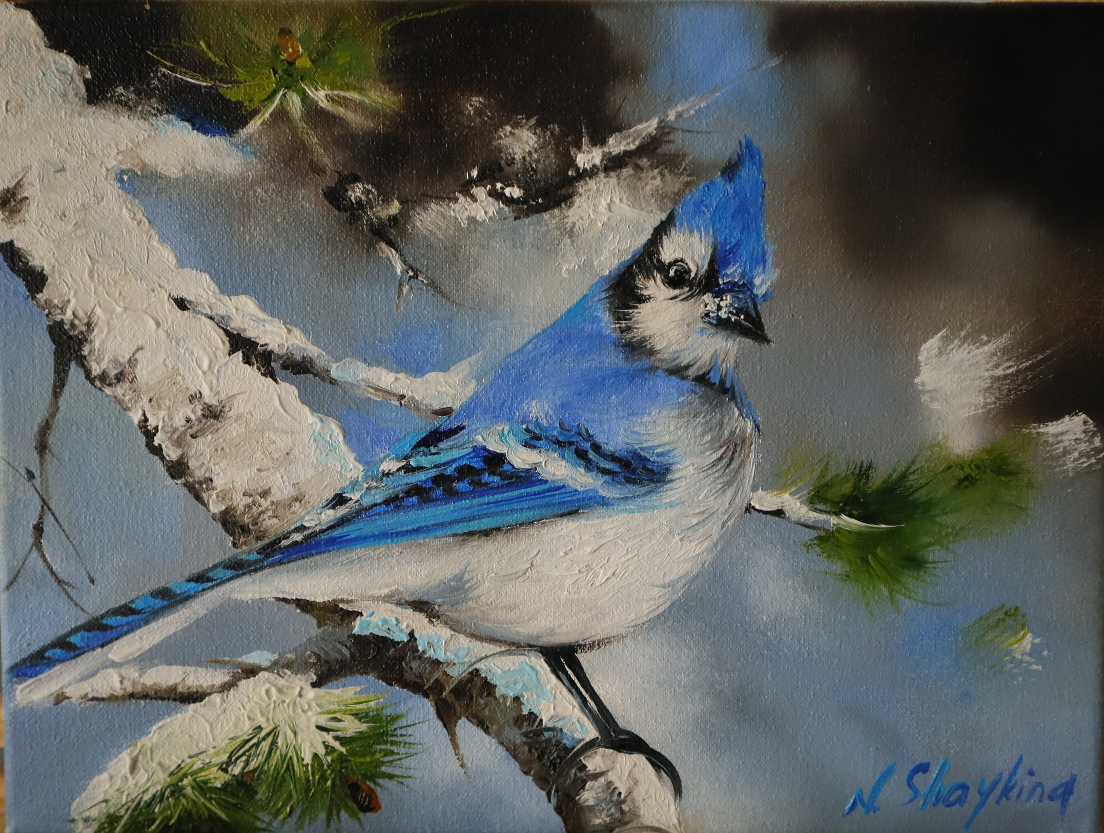 Bluejay Bird Original outlet Acrylic Painting on Canvas Blue Snow Winter Berries Gift