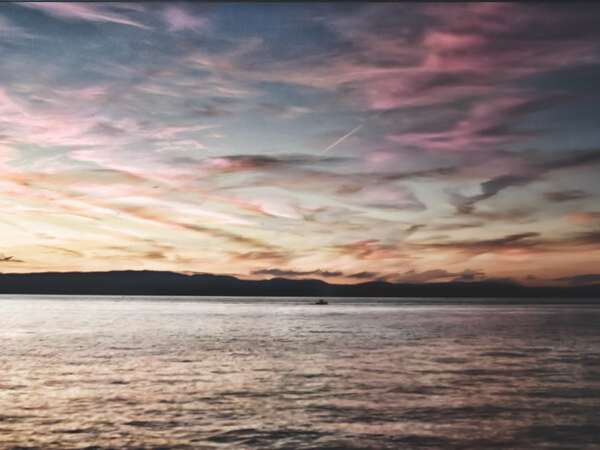 WillxArtPhoto