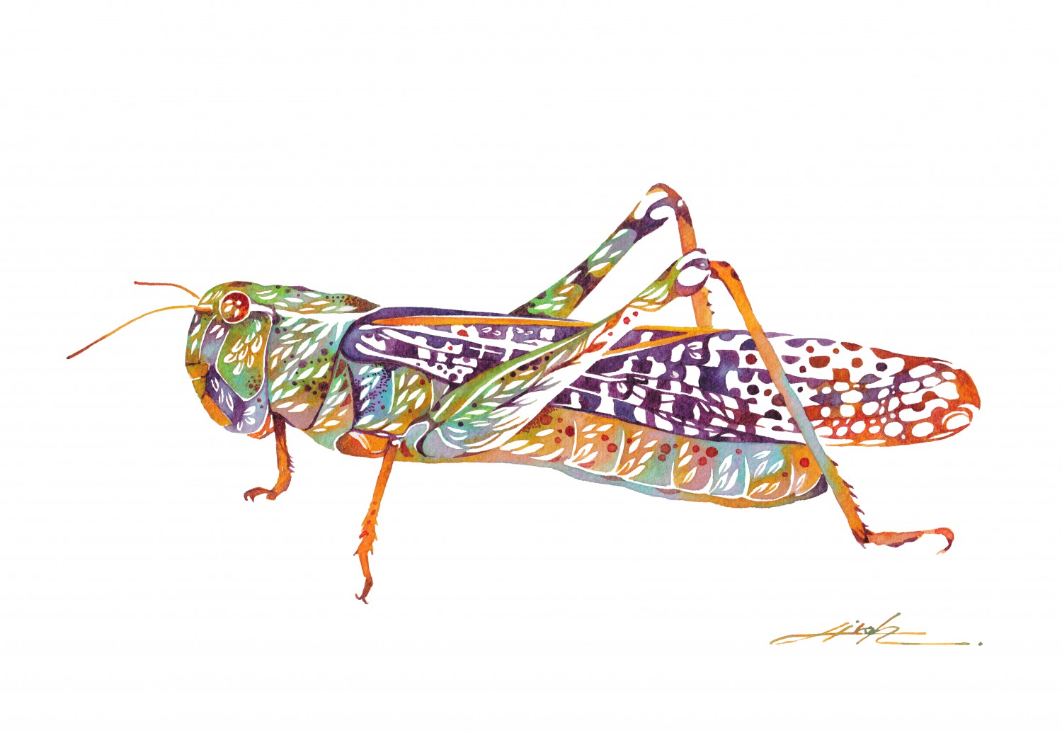 Grasshopper By タケダ ヒロキ Hiroki Takeda Tricera Art