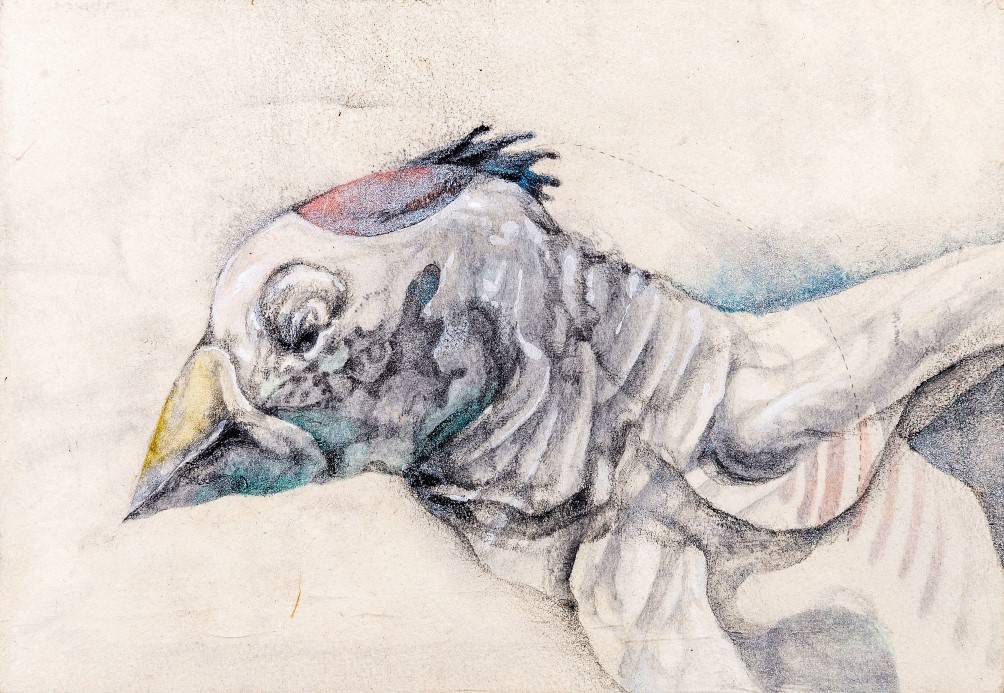 The Dead Body Of A Creature By Keita Ando Tricera
