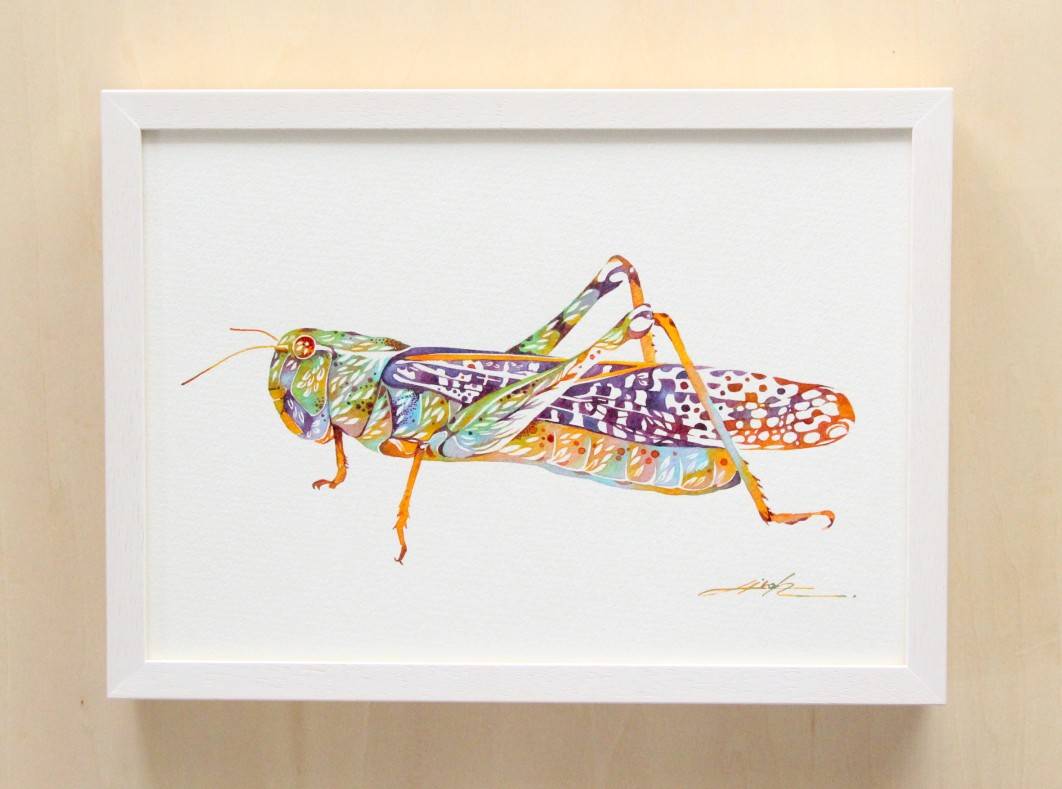 Grasshopper By タケダ ヒロキ Hiroki Takeda Tricera Art