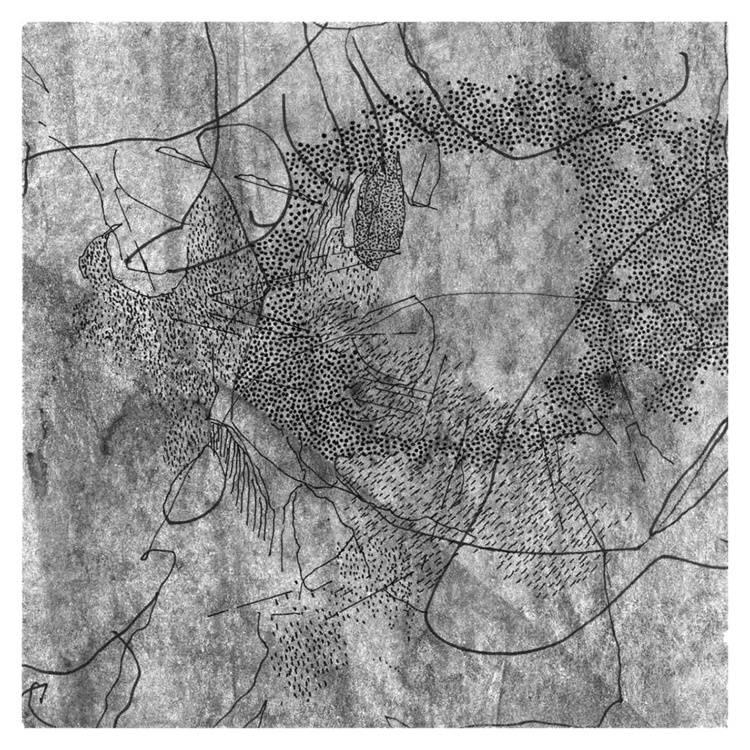 Vista - XXIV Image of your art work hanging on the wall