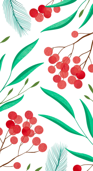 Cranberries By Dy Dayana Tricera Art