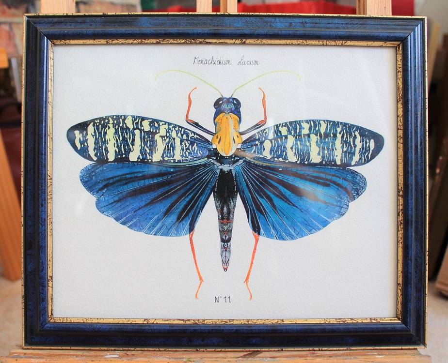 N°11 - Monachidium Lunum Immagine della tua opera d'arte appesa al muro