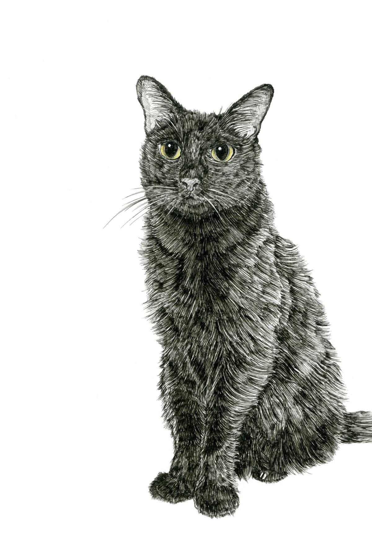 Cool Spray Paint Ideas That Will Save You A Ton Of Money: Cat Spray