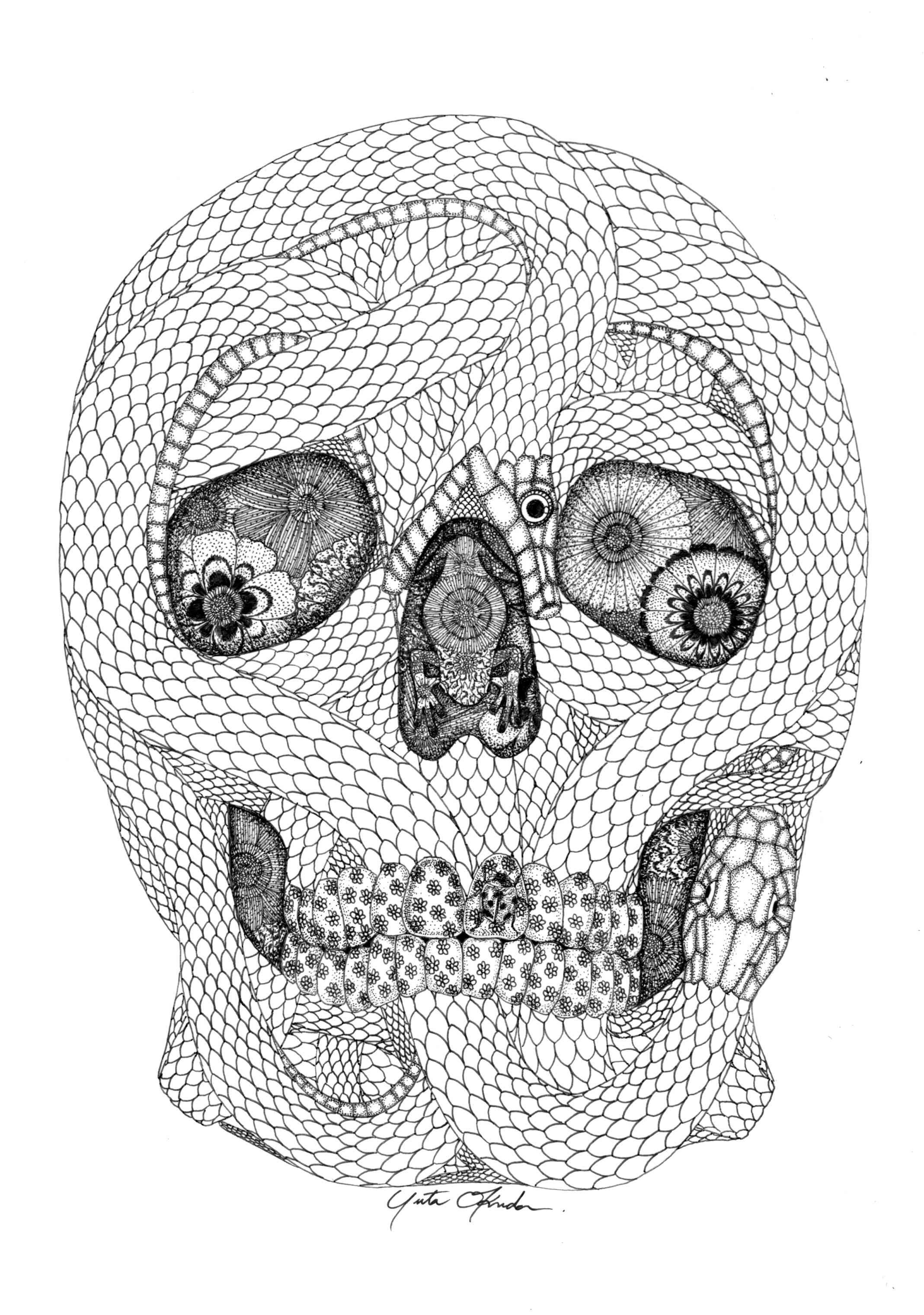 skull of a snake sketch