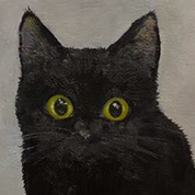 Katze