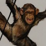 Animal art
